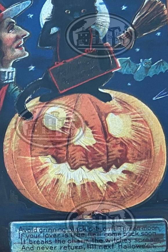 Halloween Postcard - Black Cat on Jack-o-Lantern